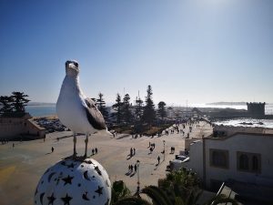 Rejoindre Essaouira Depuis Marrakech Conseils Vir E Malin Fr