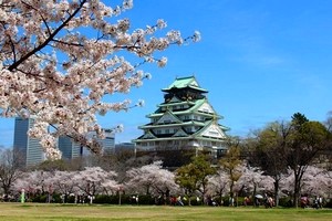 Visiter Osaka