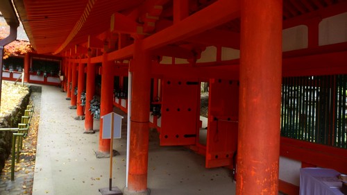 wakamiya-shrine-nara