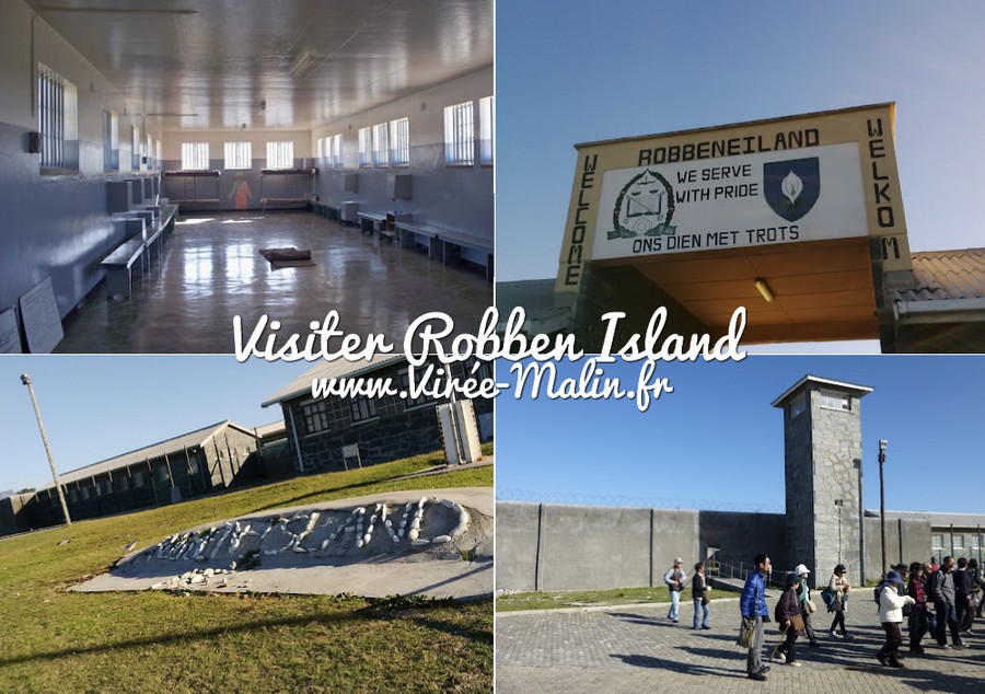 visiter-Robben-Island