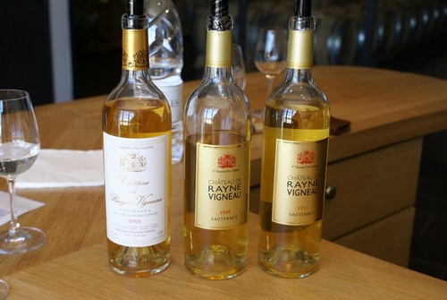 wine-tour-Sauterne-vin-blanc-liquoreux