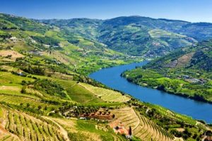 Visiter la Vallée du Douro - Excursion et guide francophone