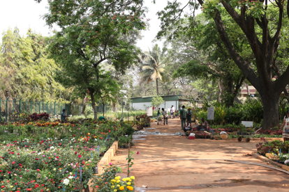 jardin-botanique-quartier-mg-road-bangalore