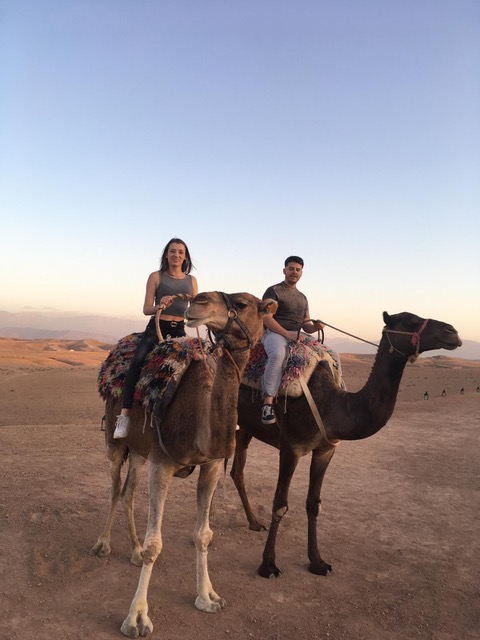 ou-faire-dromadaire-depuis-marrakech