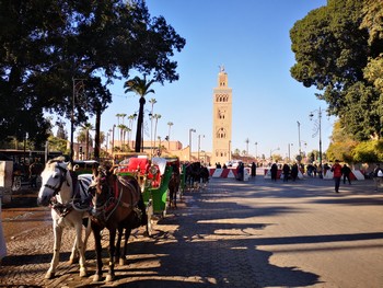 transfert-aeroport-marrakech-hotel