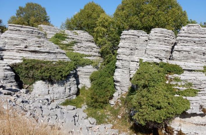 Stone-forest-gorges-vikos