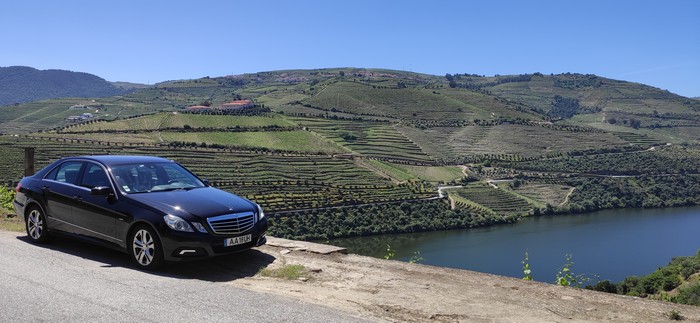 activite-degustation-meilleurs-vins-vallee-douro