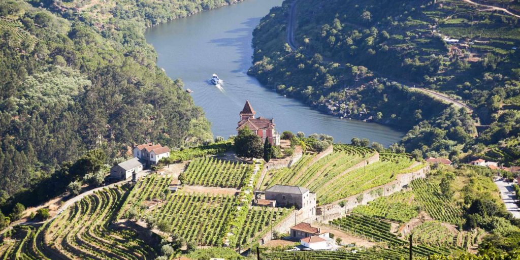 Croisière, déjeuner et dégustation de vin dans la Vallée du Douro