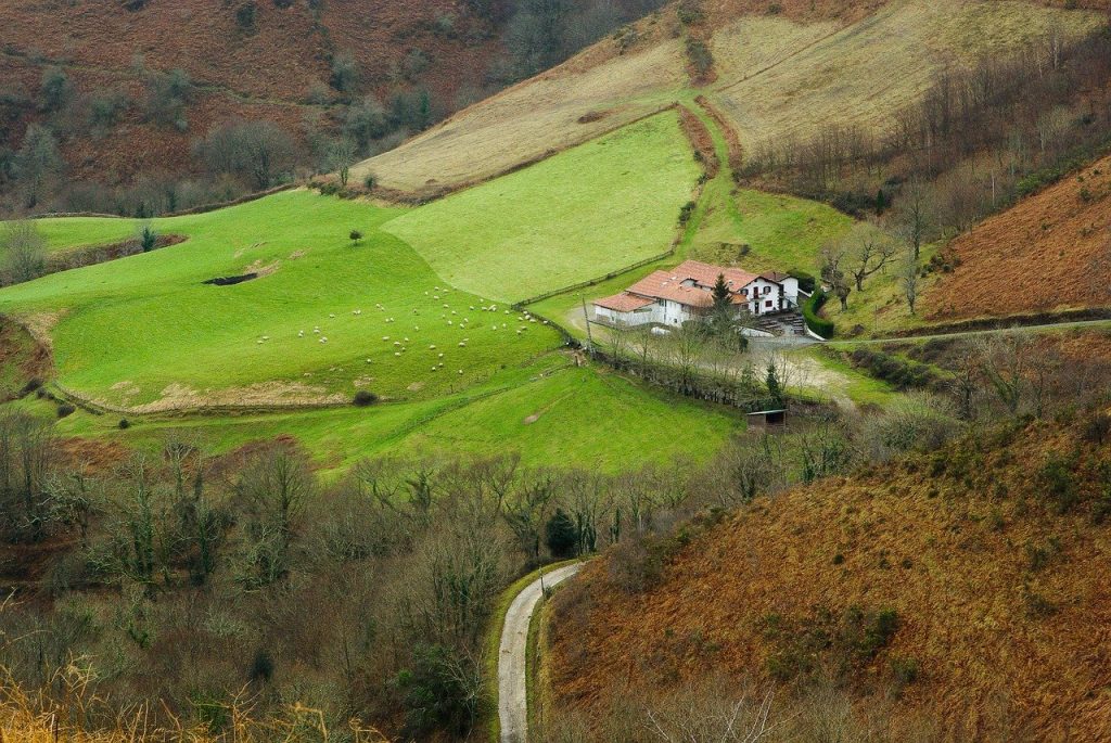 sentier-nature-foret-pays-basque
