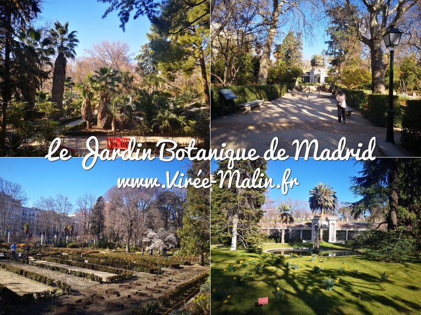 le-Jardin-Botanique-de-Madrid