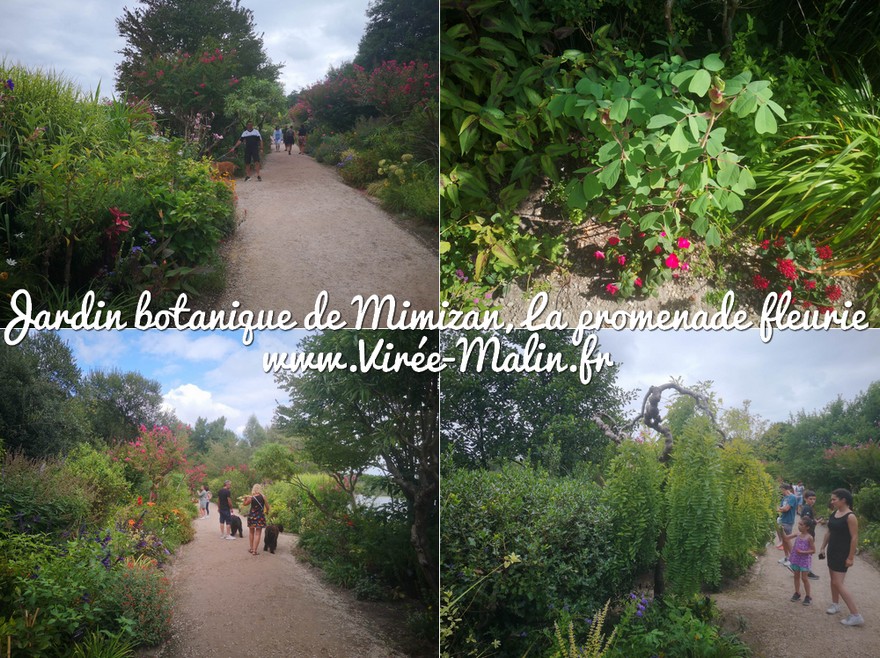 promenade-fleurie-jardin-botanique-mimizan